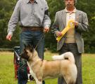 Sherry - club show 5 months