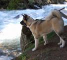 Sherry - holliday in Austria