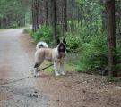 Sherry 4 months