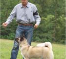 Sherry - club show 5 months