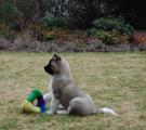 Sherry 8 weeks