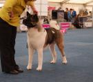 DSC_0727.JPG