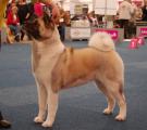 DSC_0773.JPG