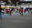 DSC_0817.JPG