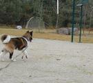 DSC_0098n.jpg