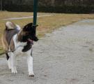 DSC_0103n.jpg