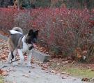 DSC_0114n.jpg