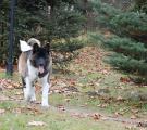 DSC_0117n.jpg