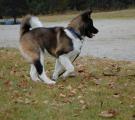 DSC_0127n.jpg