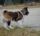DSC_0128n.jpg