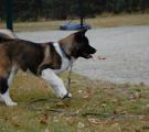 DSC_0145n.jpg