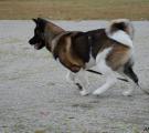 DSC_0152n.jpg
