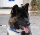 DSC_0166n.jpg