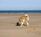 Whisky_Calais6.jpg