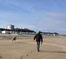 Whisky_Calais7.jpg