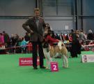 CACIB show Ceske Budejovice