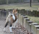 DSC_0891.jpg