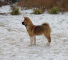 DSC_0012.JPG