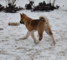DSC_0047.JPG