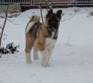 DSC_0124.JPG