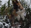 DSC_0148.JPG