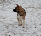 DSC_0991.JPG