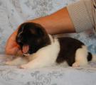 girl 2 weeks