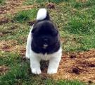 k2.jpg